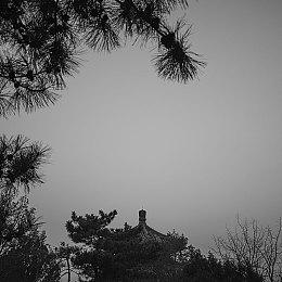 《数码宝贝物语：时空异客》全新宣传片 全面游戏系统介绍！